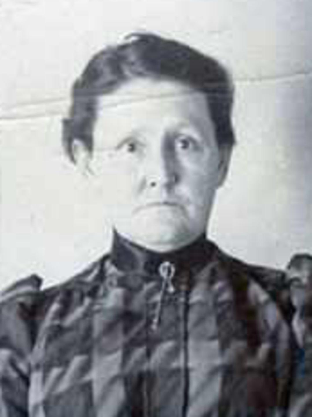 Polly Berthena Childs (1849 - 1938) Profile